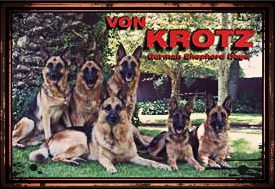 Von Krotz